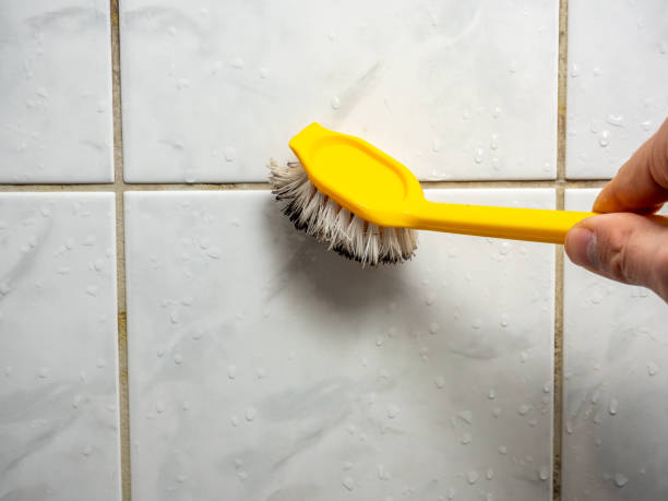 Best Mold Removal Near Me  in Port Clinton, OH