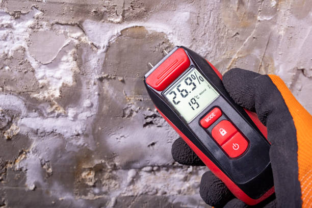 Best Professional Mold Removal  in Port Clinton, OH